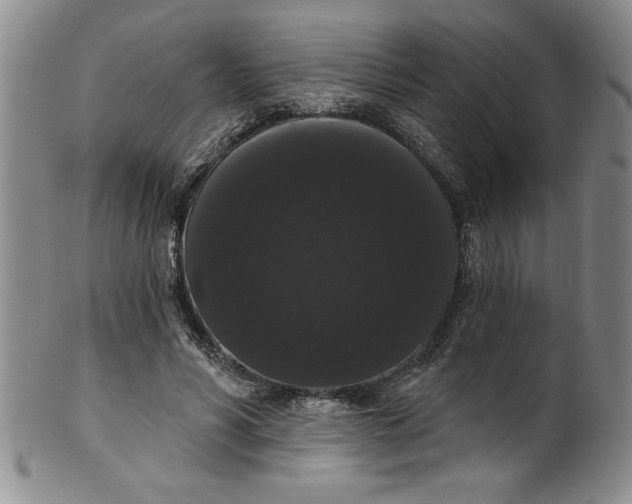 X0000101980590200808081617