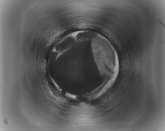 X0000101980592200808081617