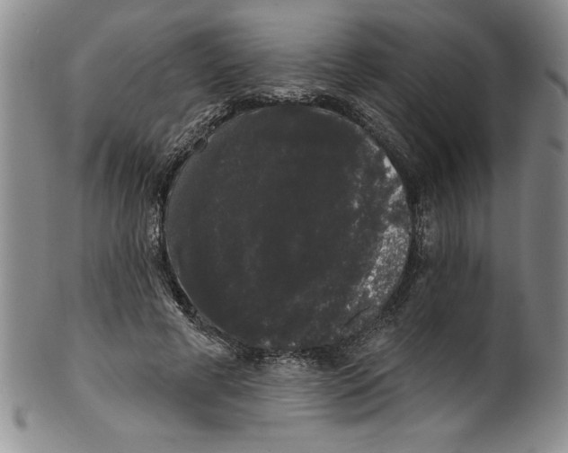 X0000101980593200808081617