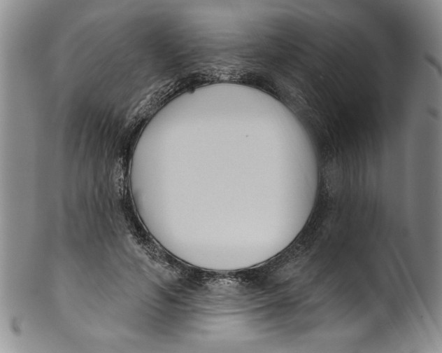 X0000101980594200808081617