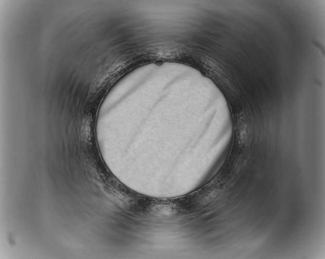 X0000101980595200808081617