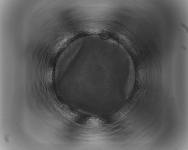 X0000101980596200808081617