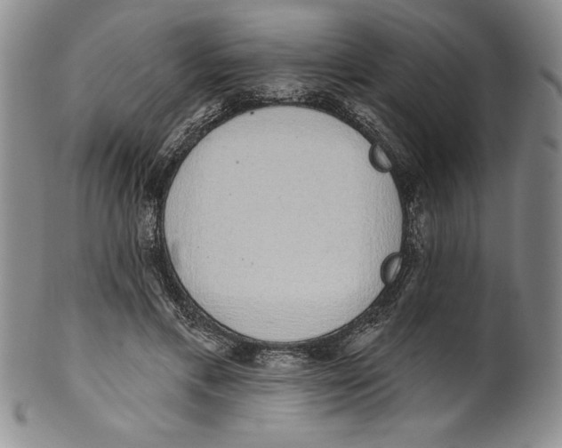 X0000101980597200808081617