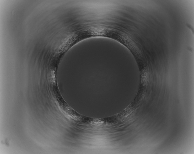 X0000101980598200808081617