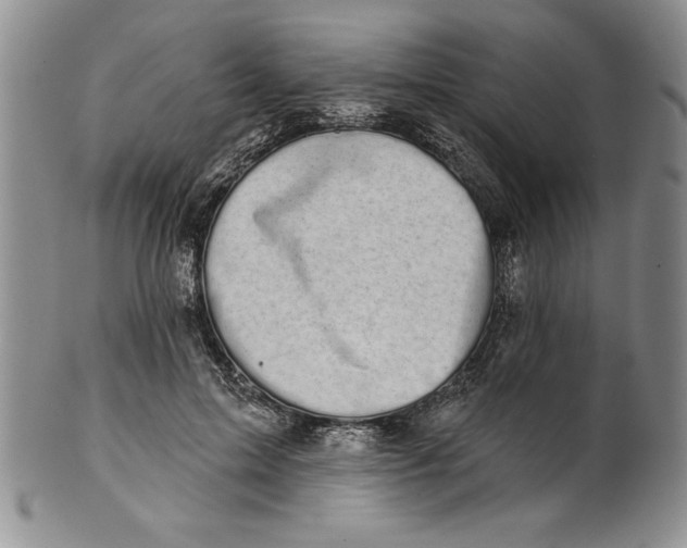 X0000101980599200808081617