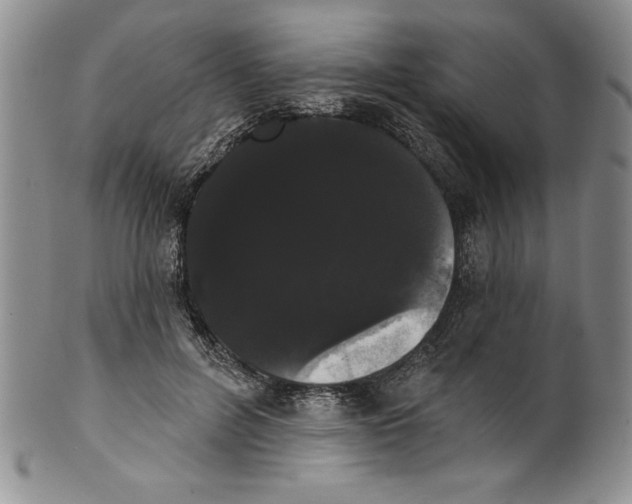 X0000101980600200808081617