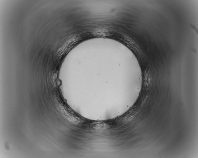 X0000101980601200808081617