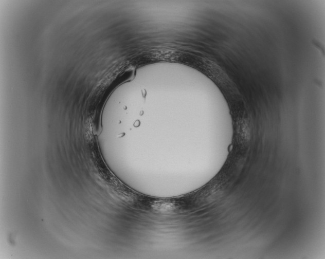 X0000101980602200808081617