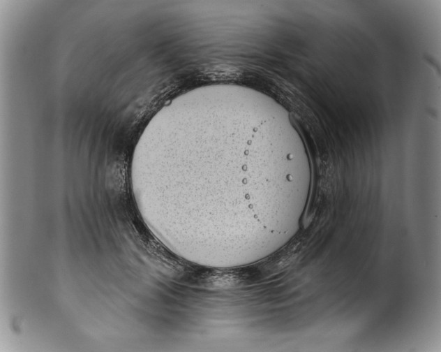 X0000101980604200808081617