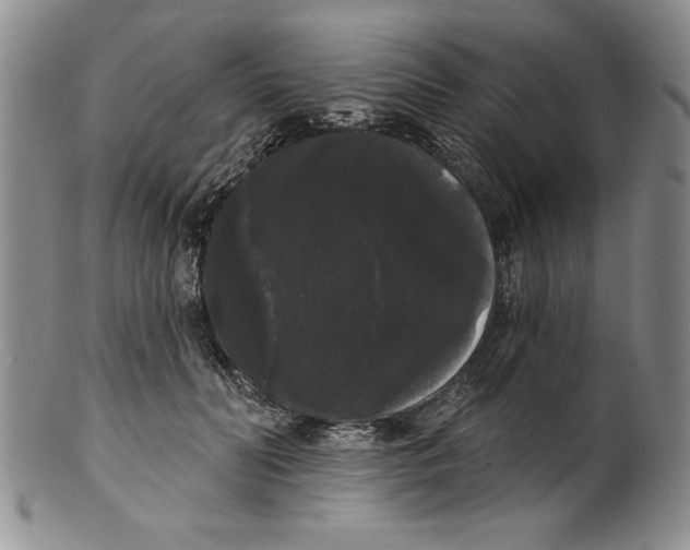 X0000101980606200808081617