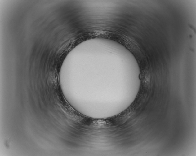 X0000101980607200808081617