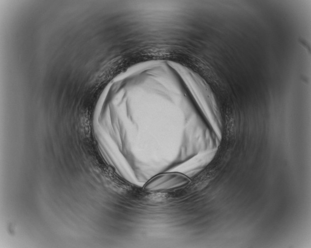 X0000101980609200808081617