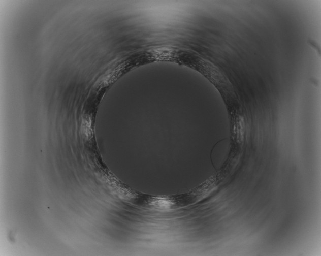 X0000101980610200808081617