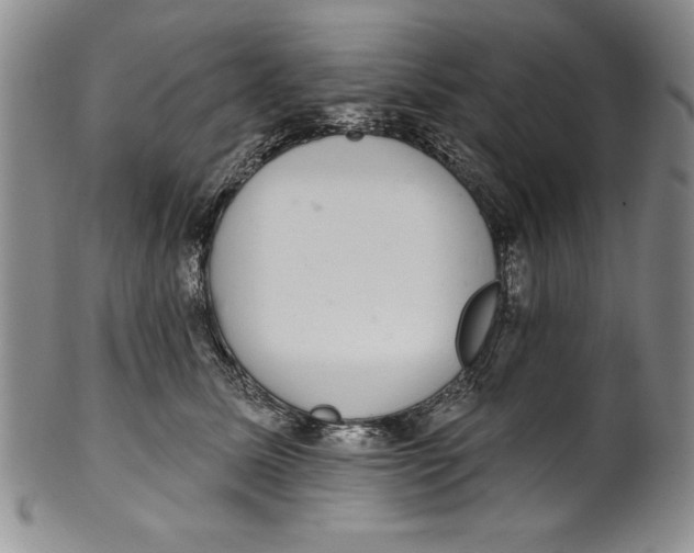 X0000101980611200808081617