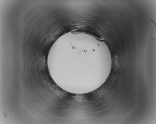 X0000101980615200808081617