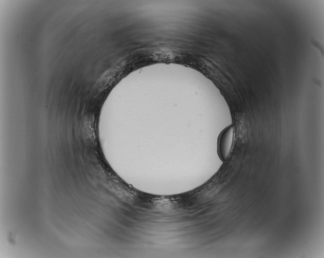 X0000101980616200808081617