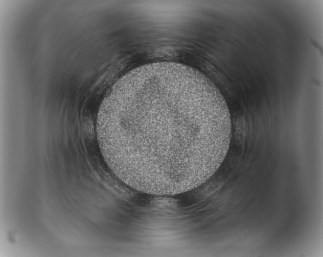 X0000101980617200808081617