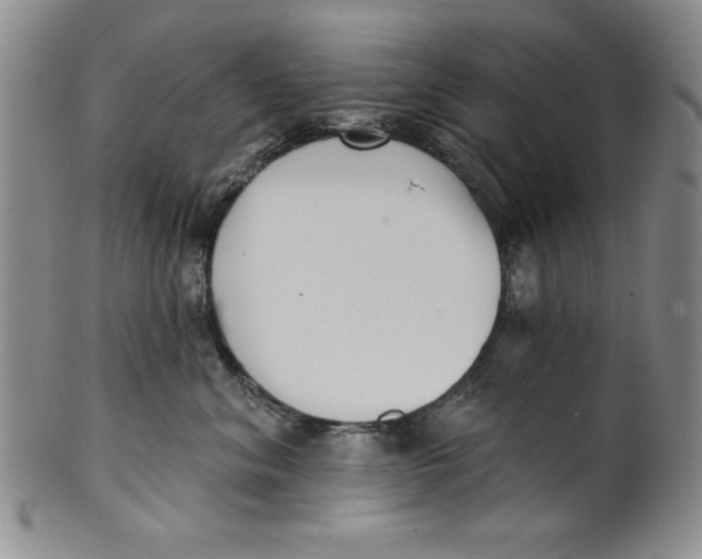 X0000101980620200808081617