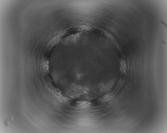 X0000101980621200808081617