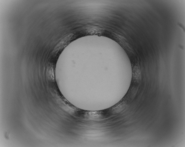 X0000101980622200808081617