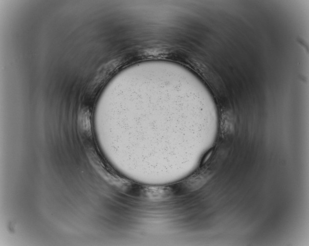 X0000101980623200808081617