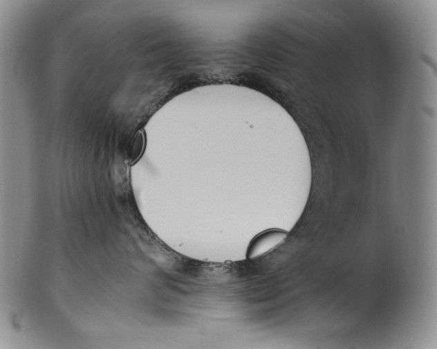 X0000101980624200808081617