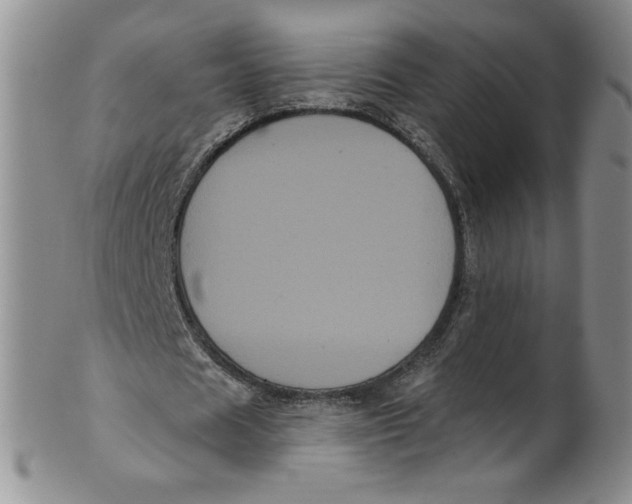 X0000101980625200808081616