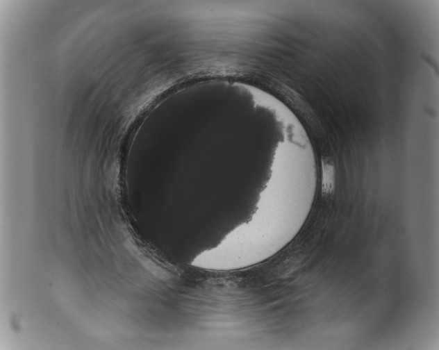 X0000101980627200808081616