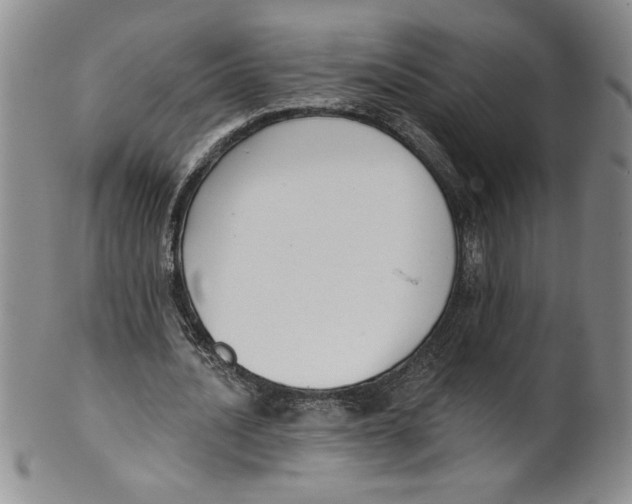 X0000101980628200808081616