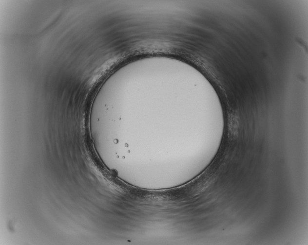 X0000101980629200808081616