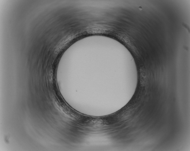 X0000101980631200808081616