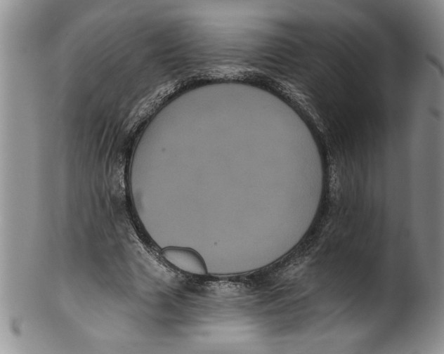 X0000101980633200808081616