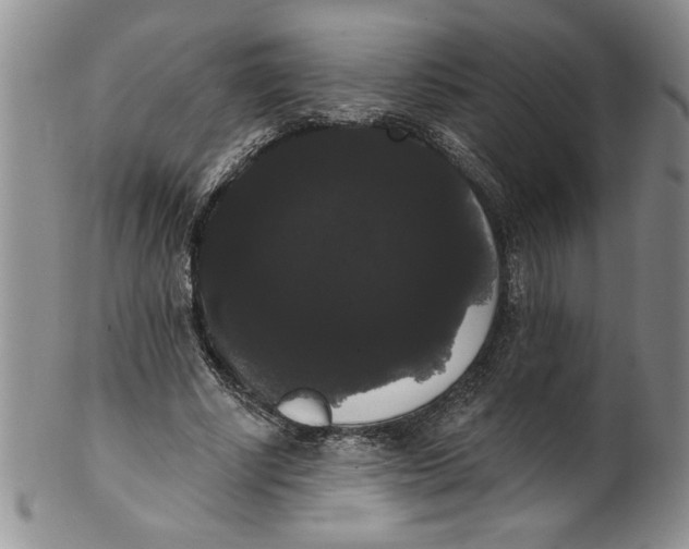 X0000101980634200808081616