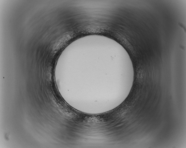 X0000101980635200808081616