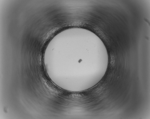 X0000101980636200808081616