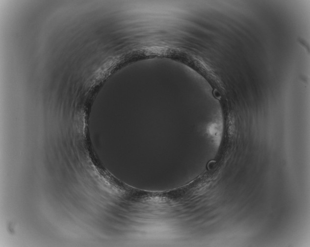 X0000101980637200808081616