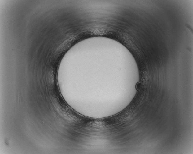 X0000101980639200808081616