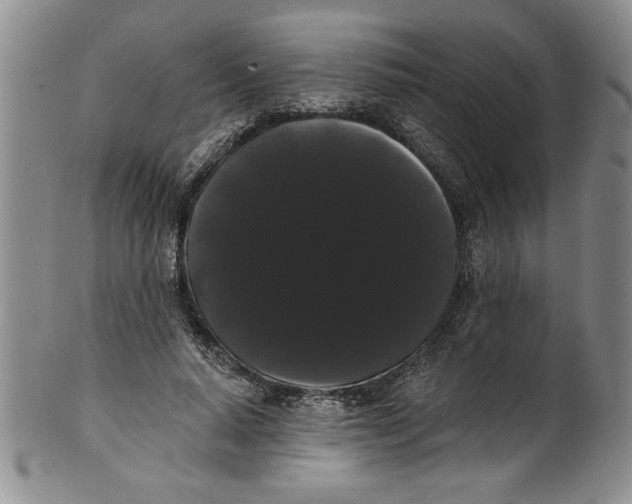 X0000101980640200808081616