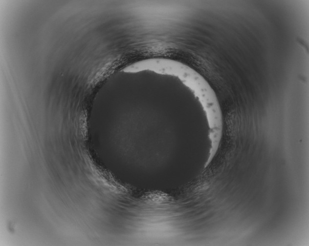 X0000101980642200808081616