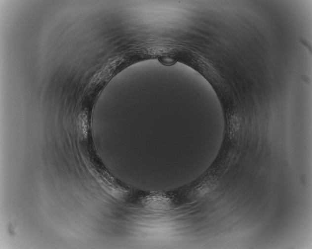 X0000101980644200808081616