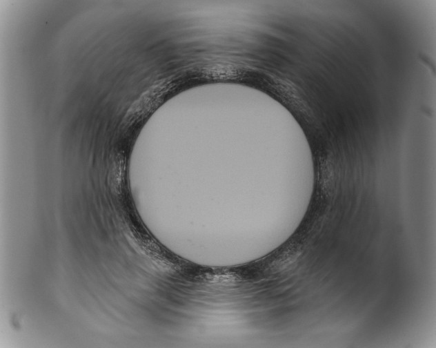 X0000101980645200808081616