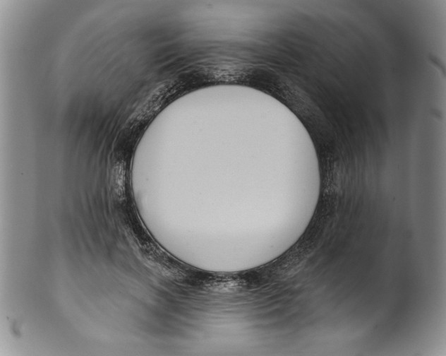 X0000101980646200808081616