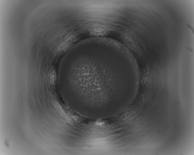 X0000101980647200808081616