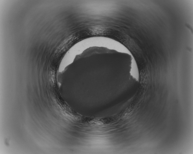 X0000101980648200808081616