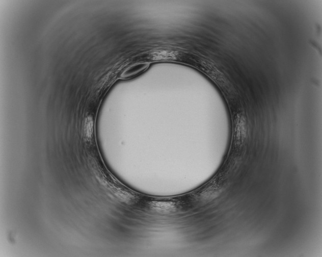 X0000101980649200808081616