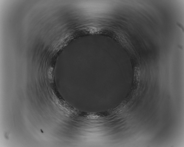 X0000101980650200808081616