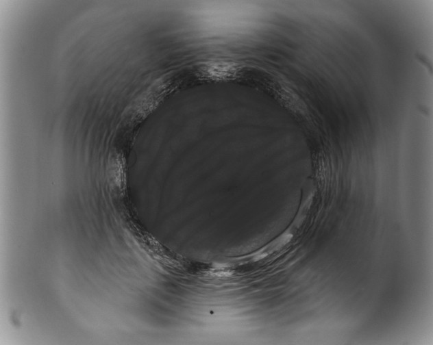 X0000101980651200808081616