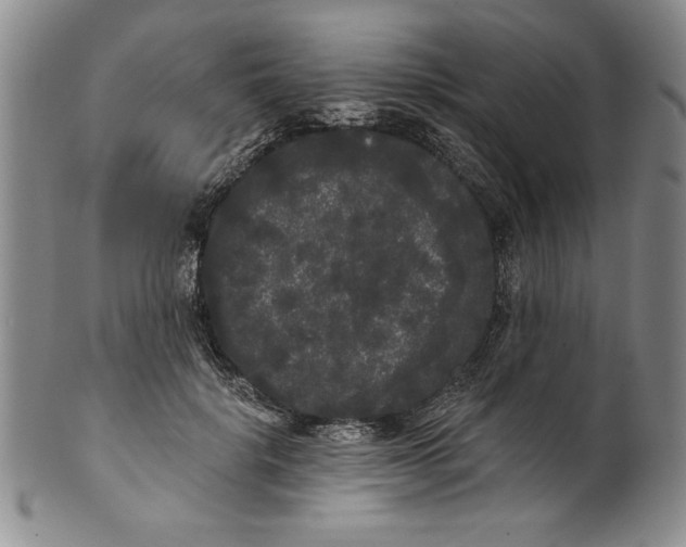 X0000101980652200808081616