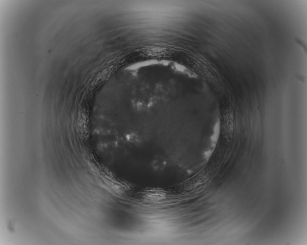 X0000101980653200808081616