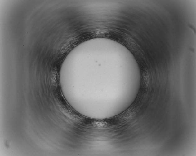 X0000101980654200808081616